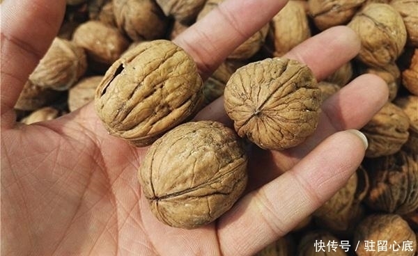 吃核桃能增强记忆力?这3种食物是补脑“高手”,错过挺可惜