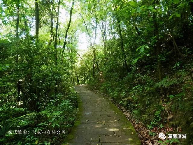 五桂山|美!陈抟山即将迎来大变化!还有这些名山，藏着潼南最美的夏天