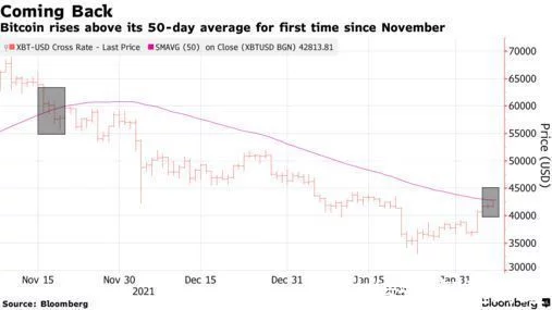 比特币自11月以来首次站上50日均线，下一个目标是45000美元