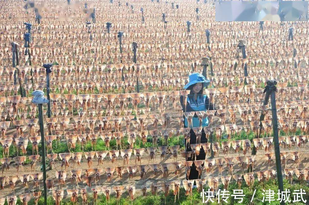 七夕$寻味威海 | 好吃的非遗！一城一味，来威海开启非遗美食之旅！