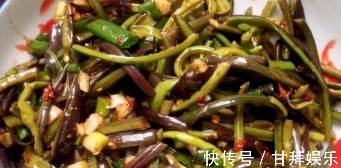 野菜|农村常见的一种野菜,不仅可以食用还能拿来当做驱虫剂使用