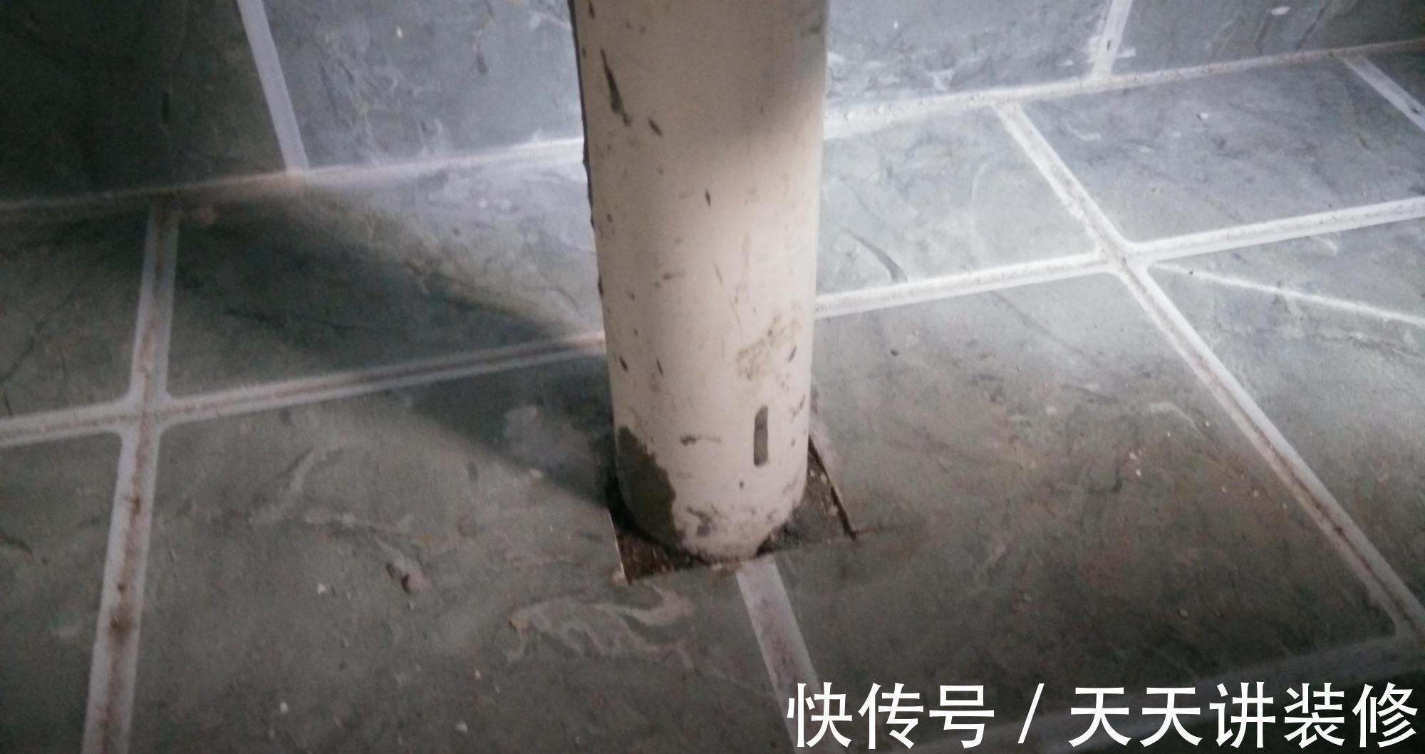 卫生间|卫生间里的小飞虫是什么？只需三步，就能彻底杜绝！