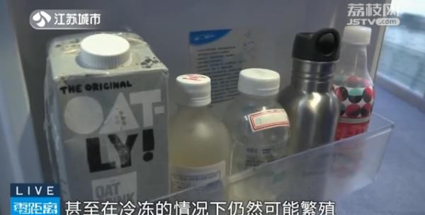 杀手|轻则腹泻，重则威胁生命！冰箱里的“杀手”你了解吗？