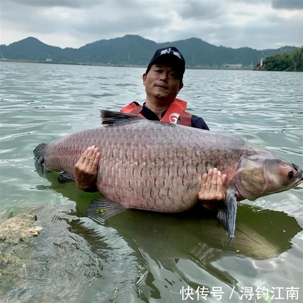 邓刚带女徒弟“盘老板”，刘志强不慎落水，网友：掌握了流量密码