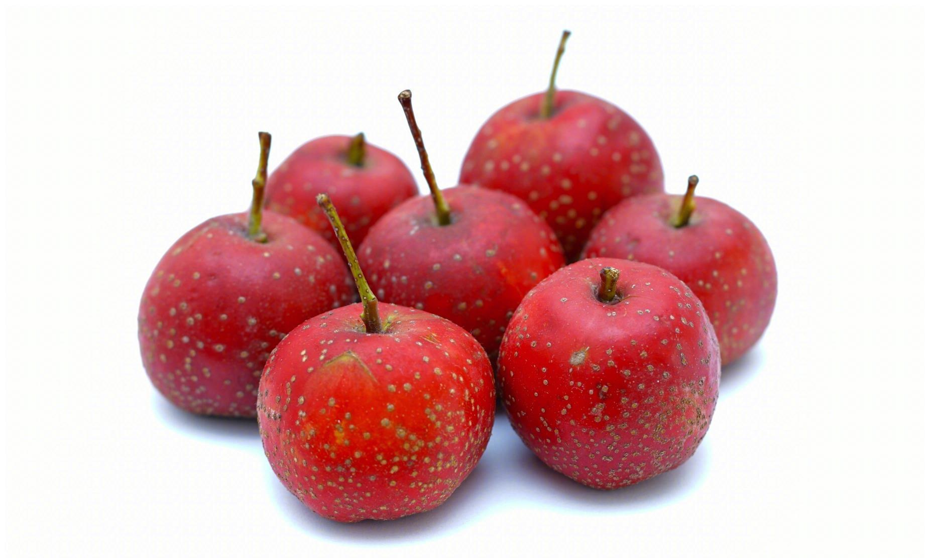 积食|孩子经常挑食,不爱吃饭?原因终于找到了!提醒:祸根是3件事