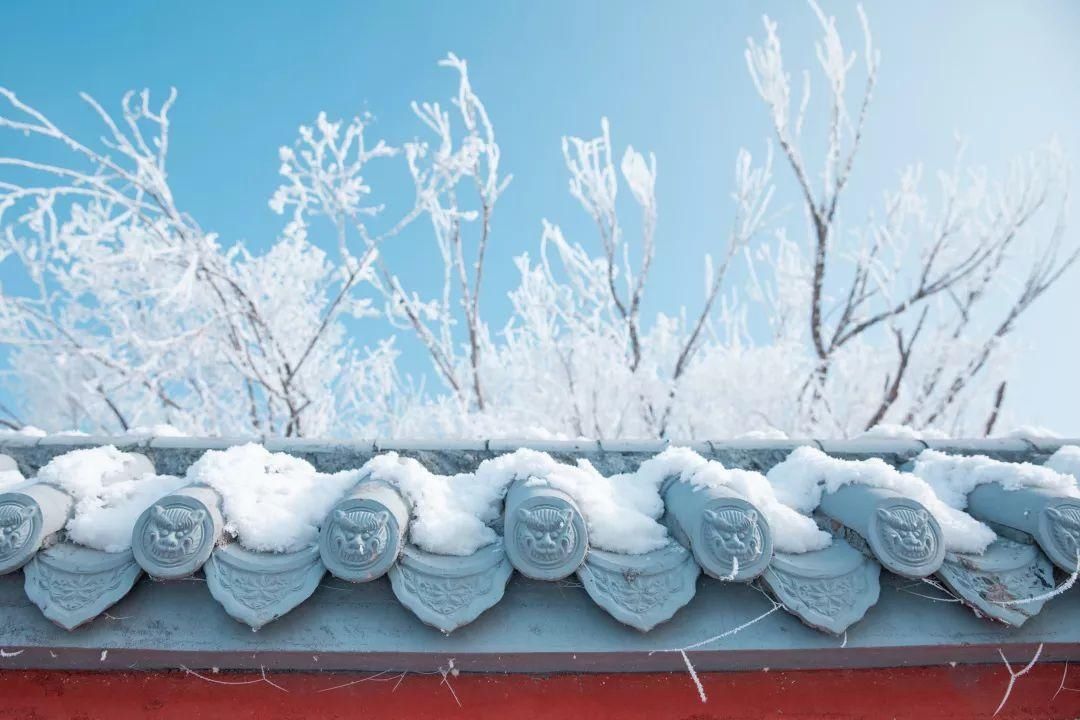 《呼和浩特第一场雪》|听风 | 孛儿只金