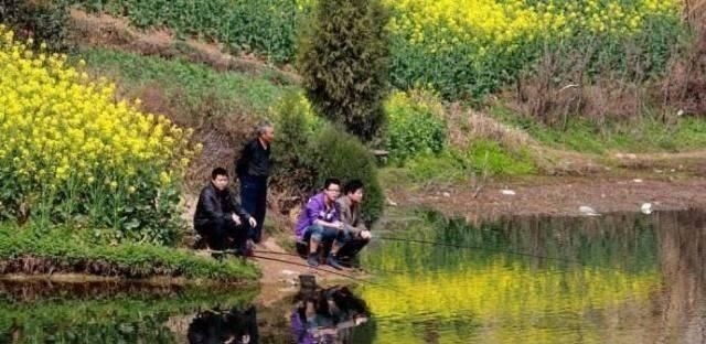 鱼儿|春钓时,每天这两个时间段钓鱼都是连竿,许多钓友竟然还在睡觉