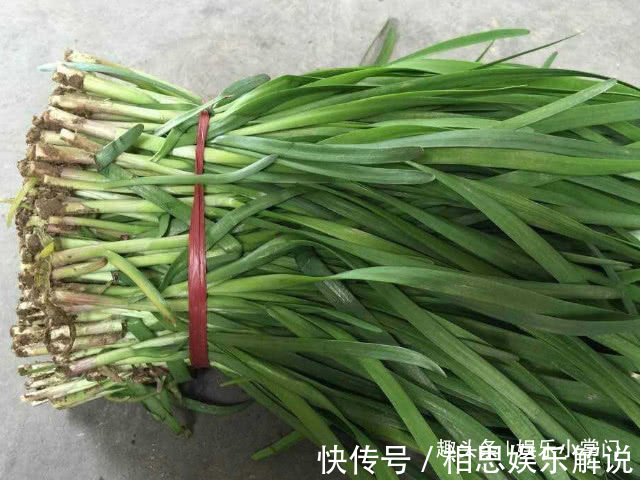 孕妇|怀孕期间,4种食物不适合孕妇多吃,否则可能对宝宝健康有影响