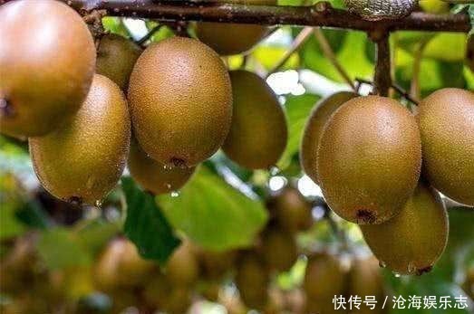 常吃|夏天了,推荐女人常吃3种食物,淡化皱纹、延缓衰老,好处多多!