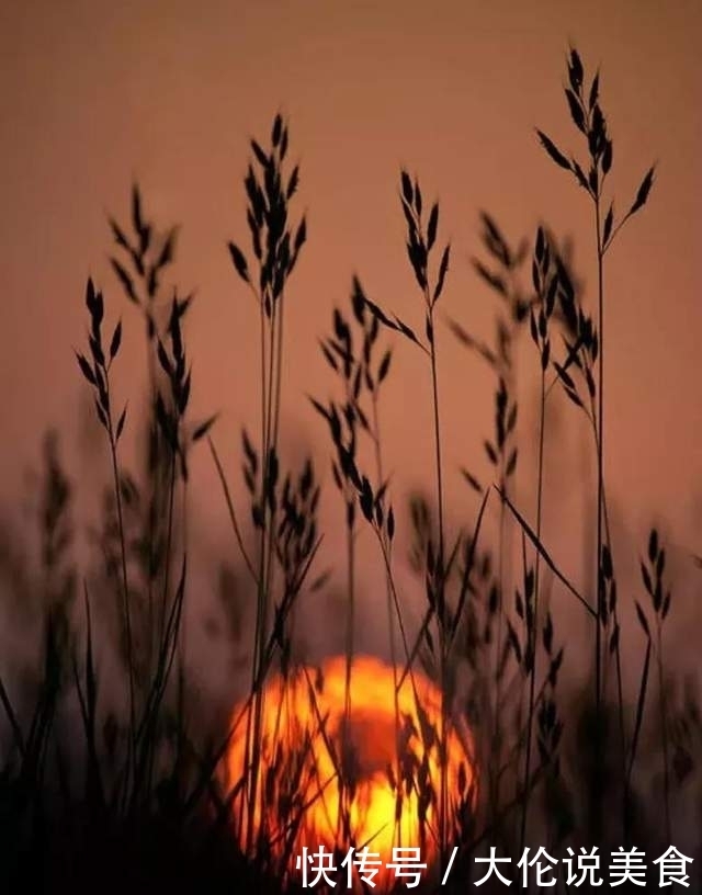 【诗词鉴赏】冬天来了,乡愁更浓了,10首思乡的诗词,让人怎能不思乡!