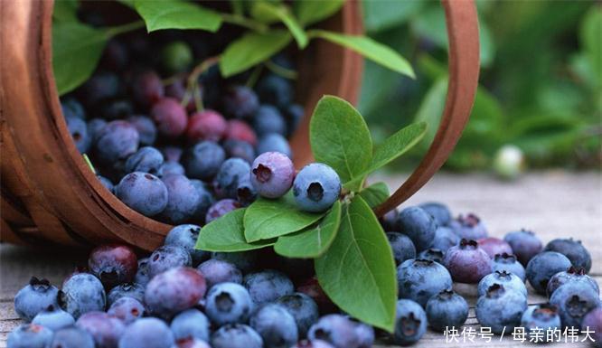 营养|聪明的人爱吃三种食物,补充营养、延缓衰老,爱吃就赚了!