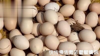 土鸡蛋|辟谣土鸡蛋营养价值更高其实,只是变着法子掏空你的钱包