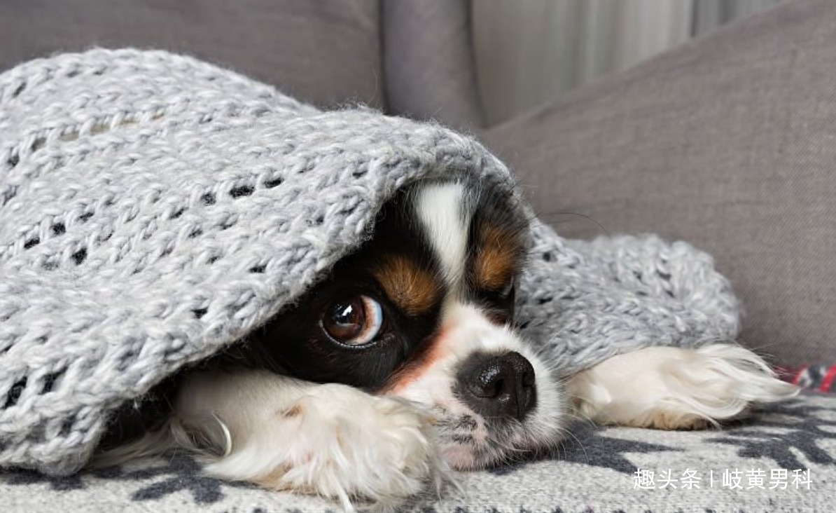 男科|肾阴虚还是肾阳虚男科医生教你几招快速辨识