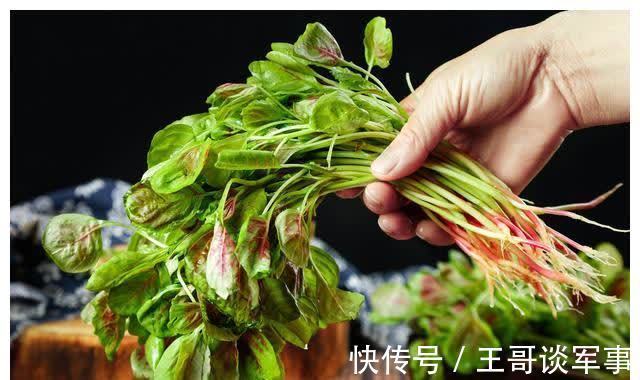 健脑|开春后,多给孩子吃这6种“高钙菜”!健脑又益智,个头还蹭蹭长