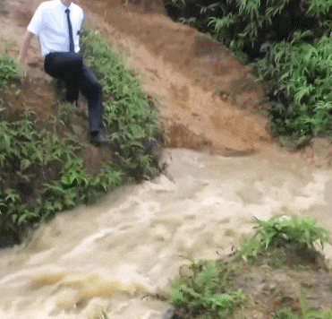 |搞笑GIF:有些搞笑是模仿不来的