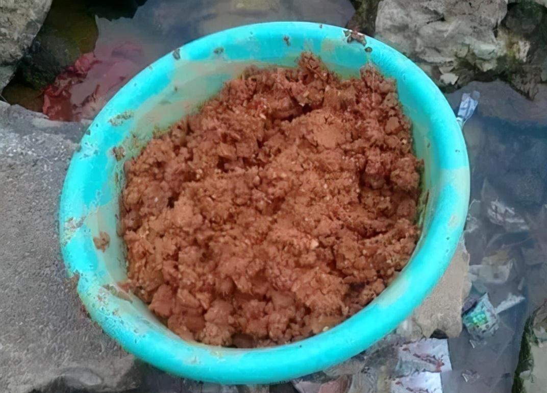 实在不会用商品饵,不妨试试鸭饲料,野钓这样用,不愁鱼不开口