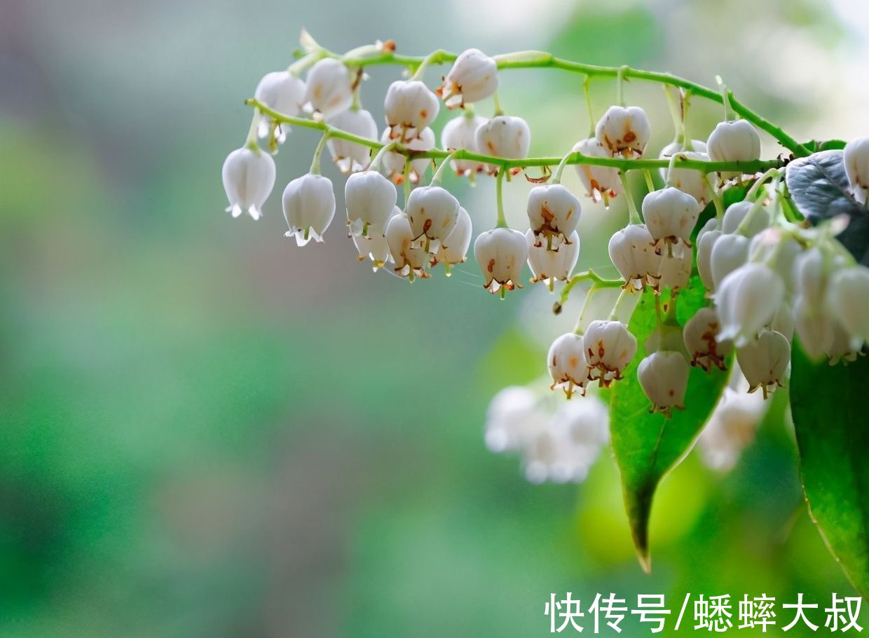 景点|意外了，距离杭州2H有个“小千岛湖”，有山有水有洞有古栈道