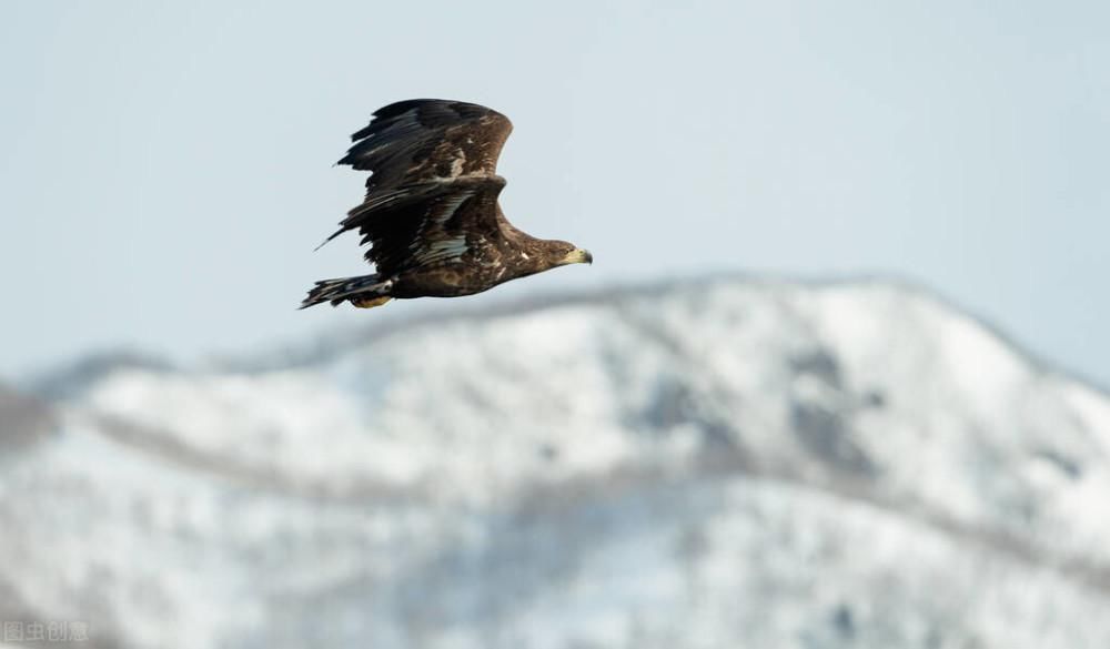 养老|白菜价,中国房价最低的五座城市,适合养老吗