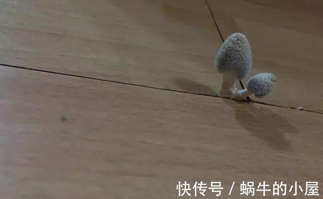 穷装|坚持这几个“穷装”决定，当初一起装修的邻居现在看着都眼馋