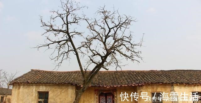 继承权|子女户口迁出农村,父母留下的农村土地和宅基地,还能继承吗?