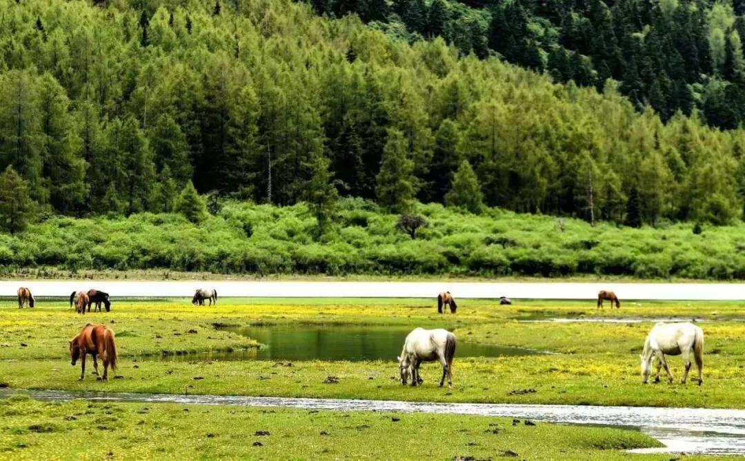 mount东方圣山的世外桃源：四姑娘山藏汉民宿