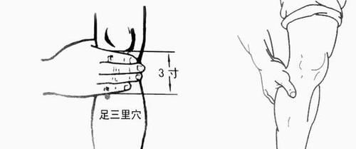 冷饮|夏三伏养生，谨记“三减、四加、五个点”，一年少生病，多多健康