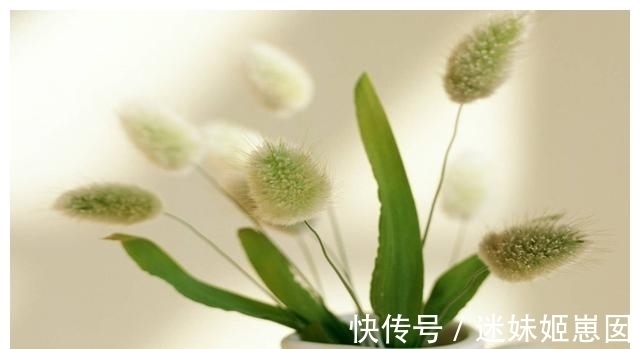 必然|6分钟读完《必然》:如何在日新月异的世界,找到发展的趋势