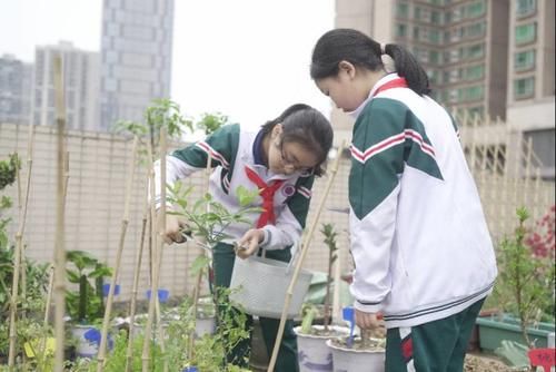 荔湾这所小学把课堂从教室搬到了天台，学生们从此爱上劳动