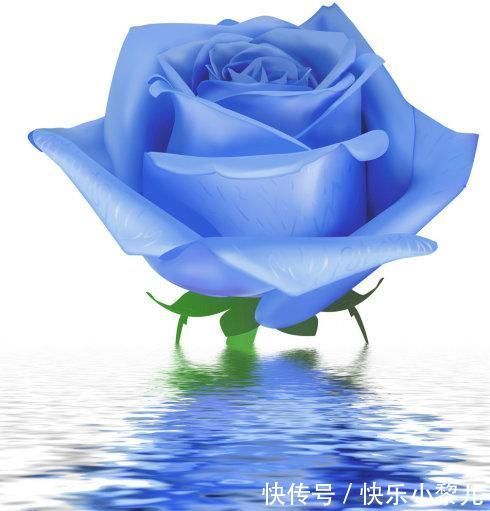 巨蟹|2月下旬,今生情缘,所求不弃,4星座牵手爱人,余生心心相惜