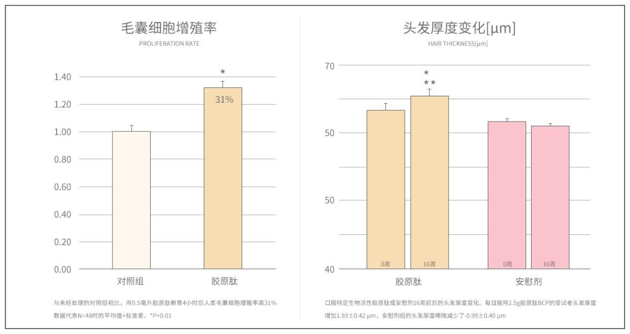 胶原蛋白|头皮抗老——你的头发也会缺少胶原蛋白