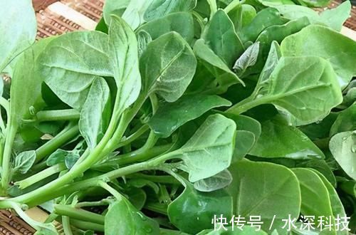 营养|女性担心老太快,可以多吃3种食物,补充营养,身体棒棒哒!