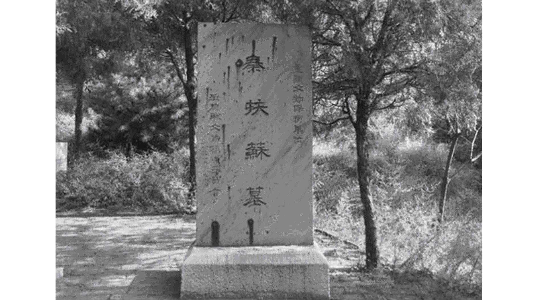 秦始皇|秦始皇姓嬴，他的儿子为什么叫胡亥，难道不应该姓嬴吗？