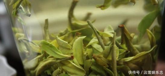家里的盆栽花期不开花、还枯死了,是啥原因答案在这里