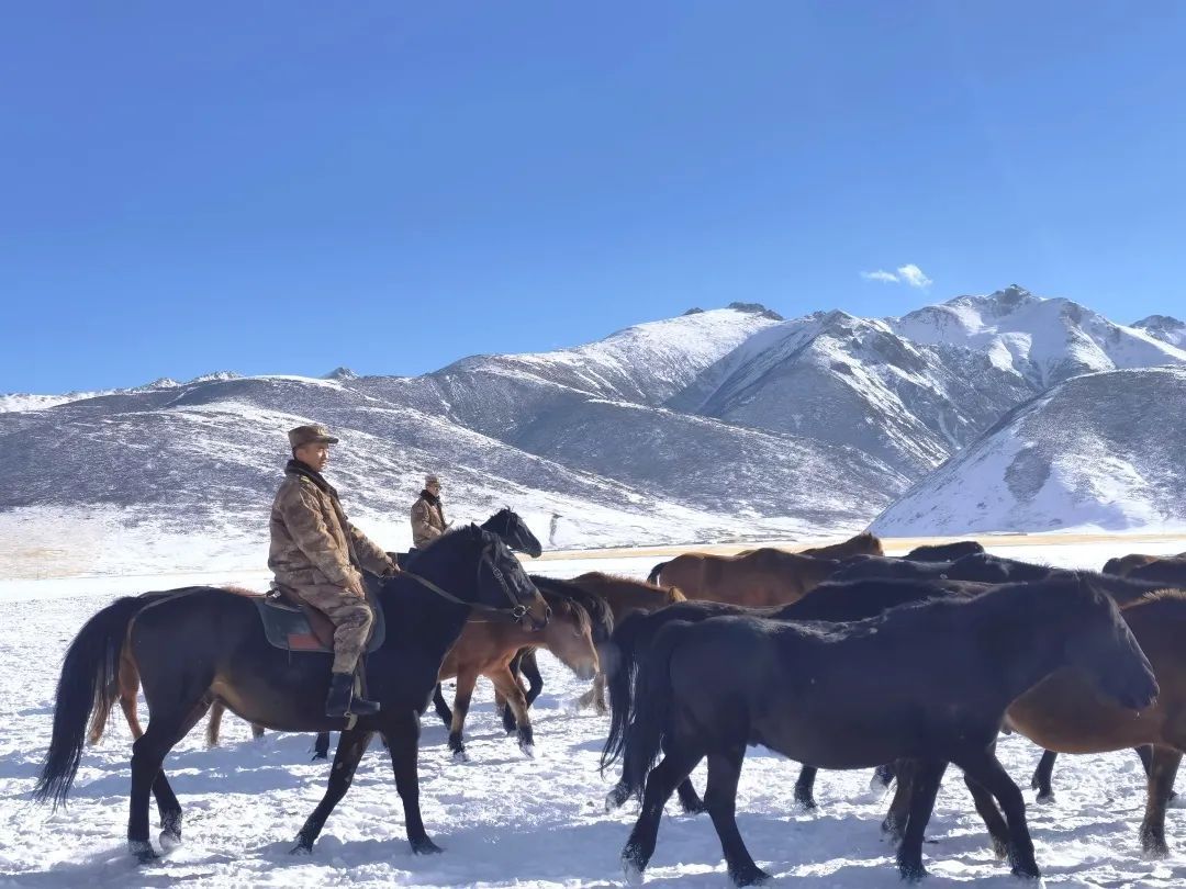 人来自|-38℃，骑马的兵哥哥真帅！