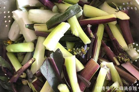 滋补身体|人到中年想长寿,3种食物要多吃,营养丰富、滋补身体,好处多多