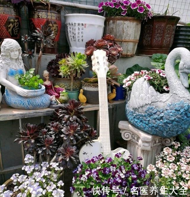 大叔的花园,亮点多多,惊艳了我,难怪大家都夸他太有生活情调了!
