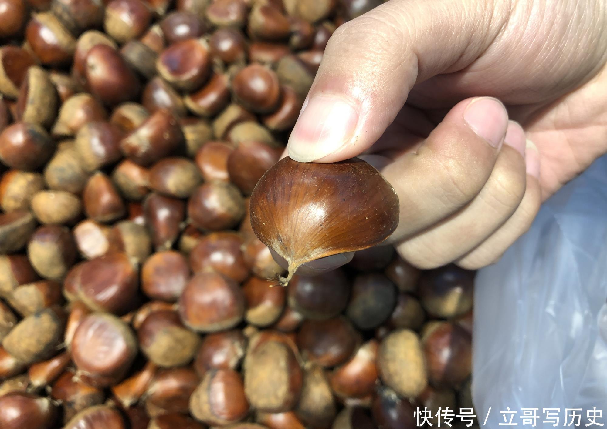 好吃|生板栗买回家,不用煮也不用炒,教你简单做法,好剥壳又好吃