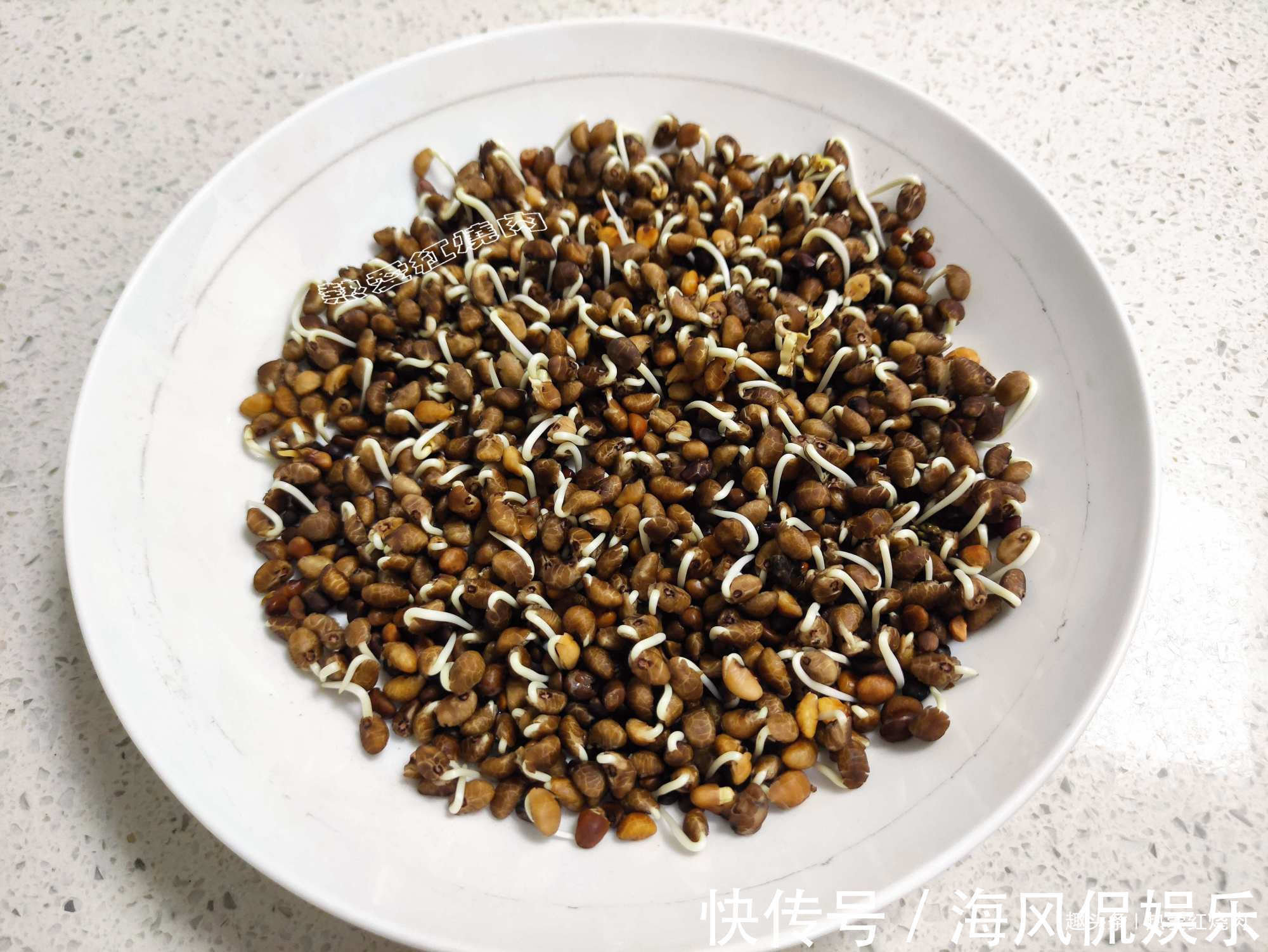 以前空心菜都是买着吃,这回用菜籽自己种的,不用土11天就能吃了