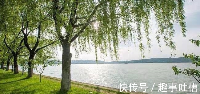 无人种&有关咏物的四首诗,其中一首写得尤其耐品,值得一读