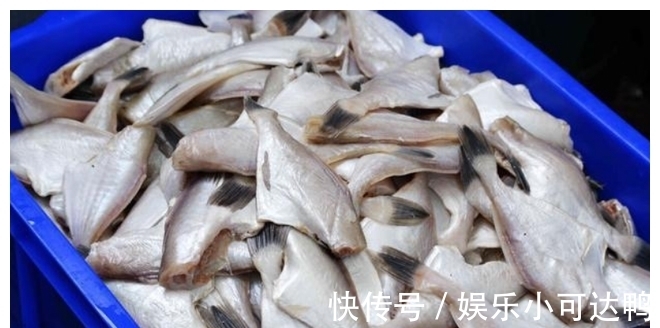绿鳍马面鲀|被误解的鱼，没有头和皮，因为廉价被瞧不起，很多内行人在吃