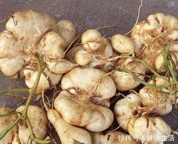 延缓机体衰老|想身体好,多吃以下食物,延缓机体衰老,皱纹不见了,气色好