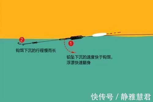 小鱼|秋末钓鲫鱼，子线用长还是用短这样选更科学，中鱼率飙升几倍