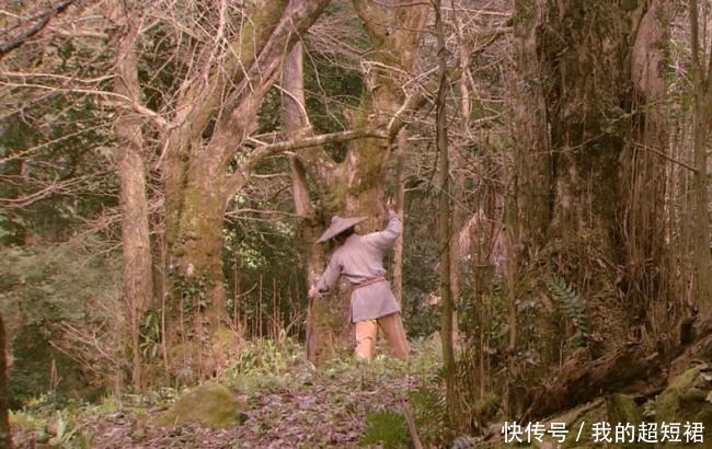 殒命|唐朝奇遇故事樵夫偶遇神仙习得“幻术”,却因此而殒命