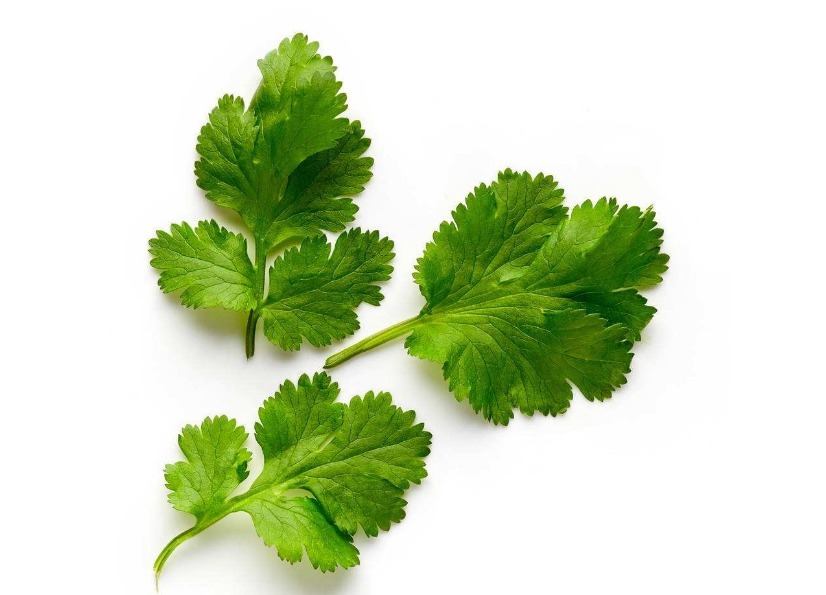 配方|补肾男人补肾的配方,有香菜就能搞定,一治一个准