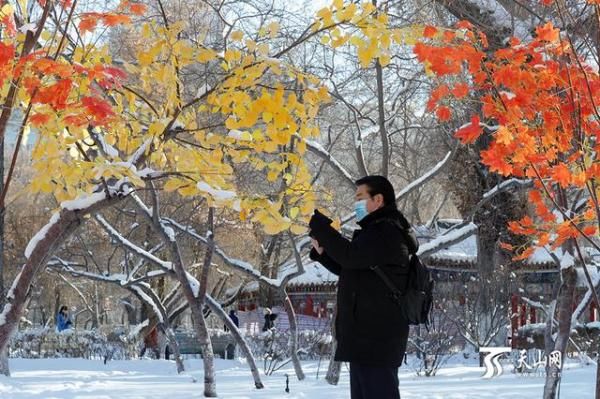 冬至雪后 晴空暖日似春归