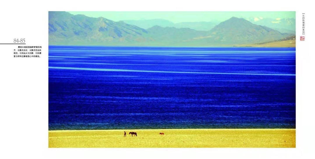 秋冬笔墨:作家丁捷的沧桑稀奇