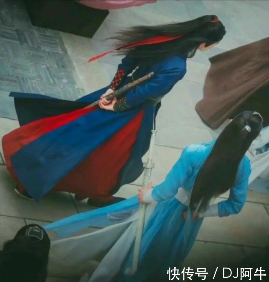 入多肉坑八年,始于初心,一切但求无愧于心