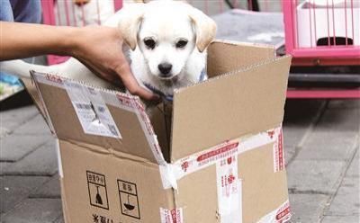 淘宝|电商家坦言:这5类商品,最好去实体店买,否则吃亏的是自己!