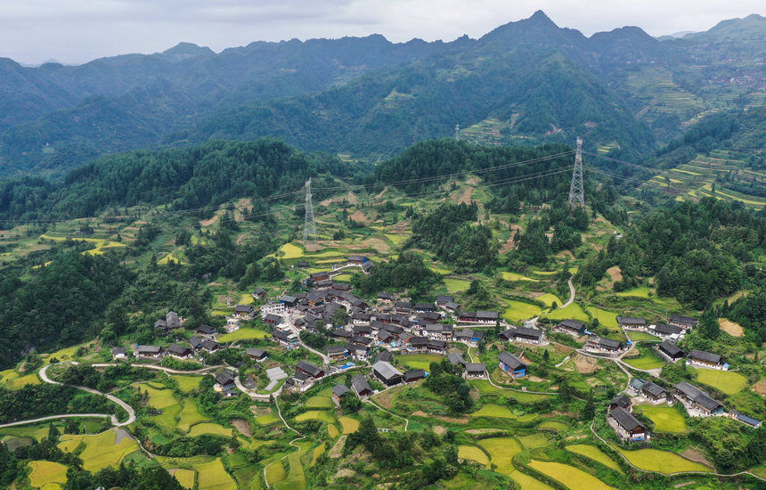 中心小学|“全科老师”坚守二十四载 只为大山里“希望之声”不断