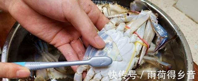 海蟹|螃蟹不要直接下锅蒸,记住这3点,螃蟹的黄色就不会流出来!